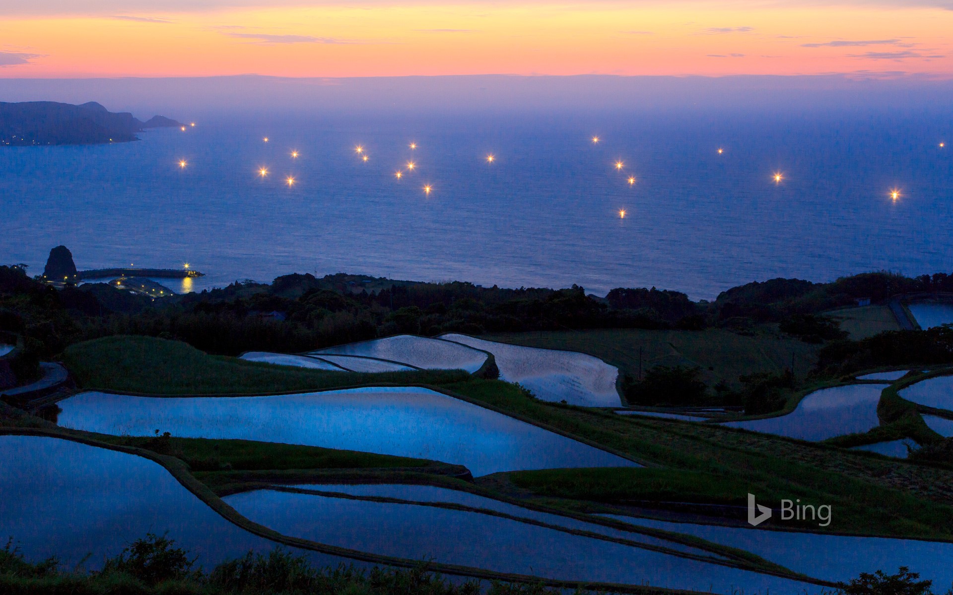 Terraced rice fields and lights of fishing boats, Japan