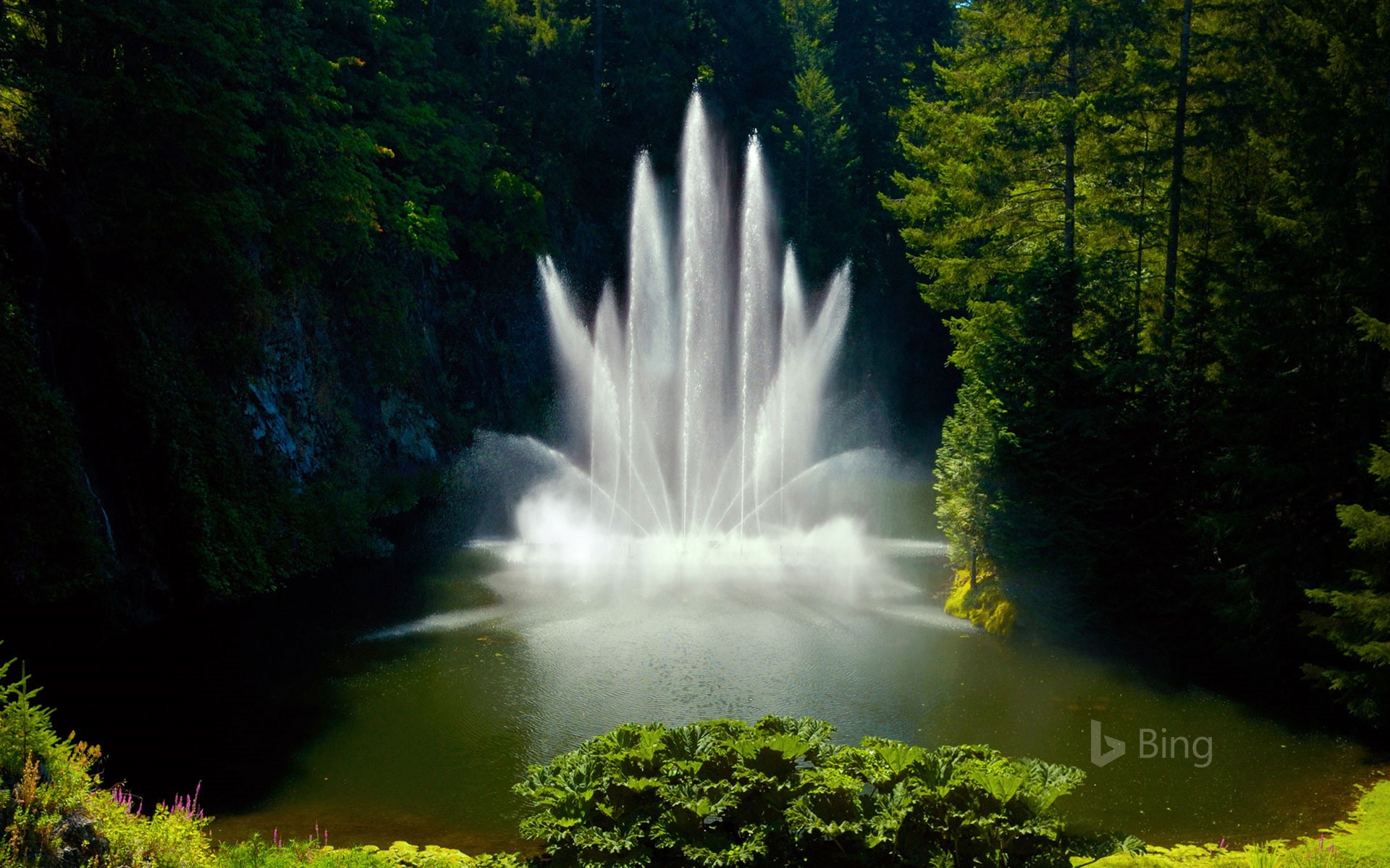 Ross Fountain at Butchart Gardens in Victoria, British Columbia, Canada