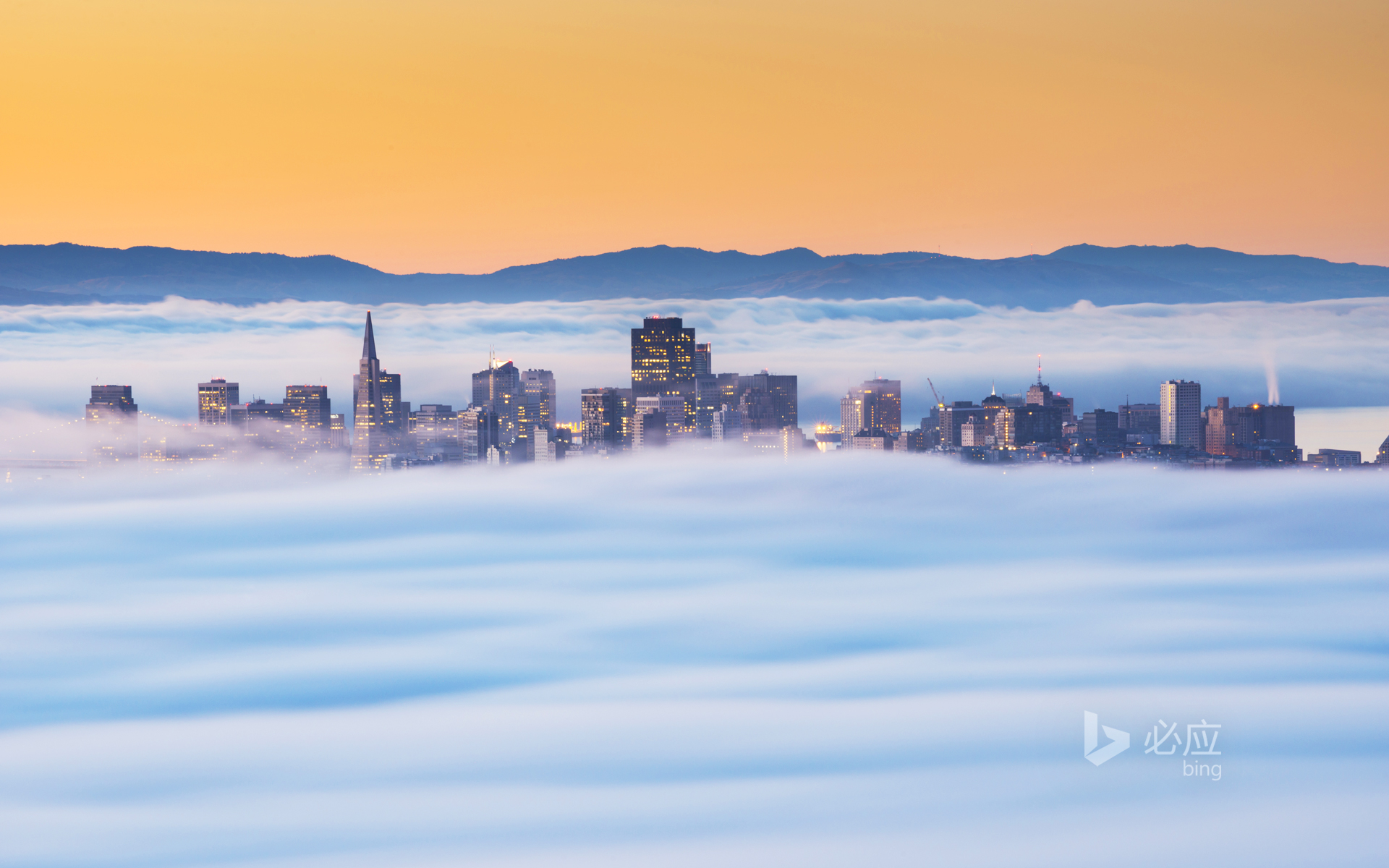 Morning mist in San Francisco, USA
