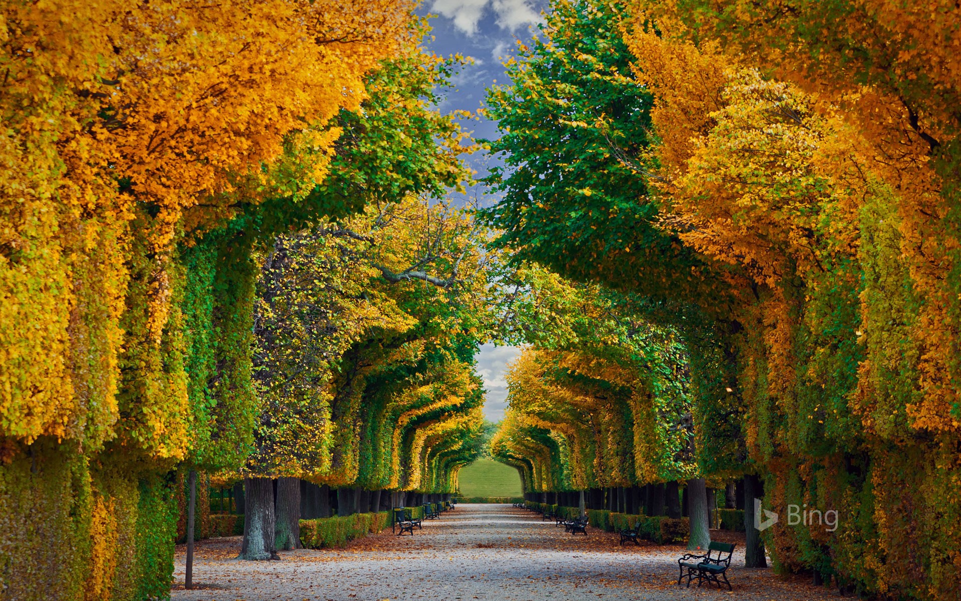 Autumn foliage, Schoenbrunn Palace, Vienna, Austria - Bing Wallpapers -  Sonu Rai