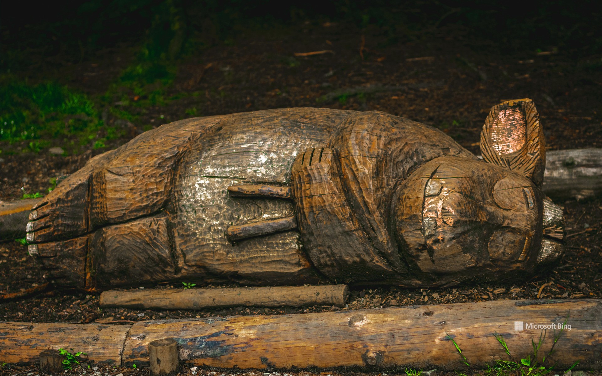 Gruffalo sculpture, Whinlatter Forest National Park, Lake District