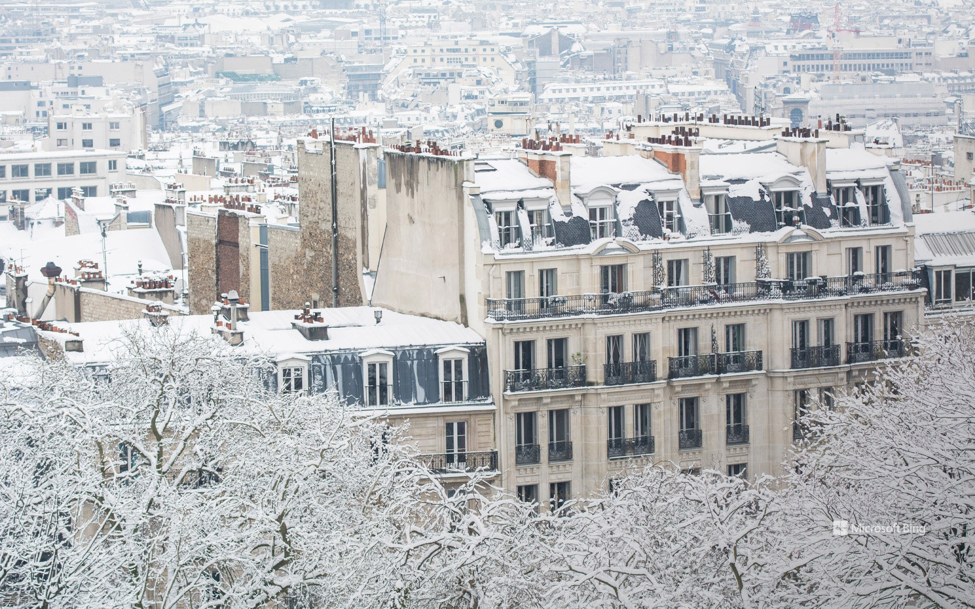 The roofs of Paris under the snow