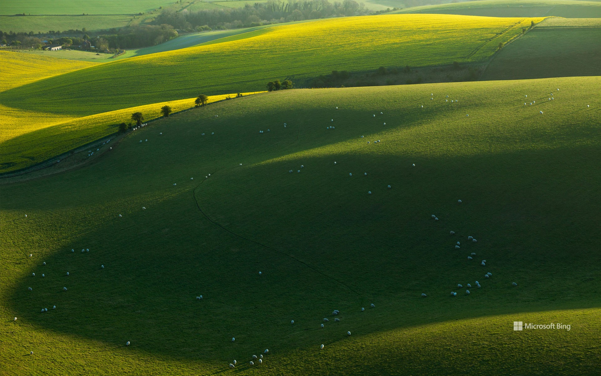 Spring morning in South Downs National Park, East Sussex