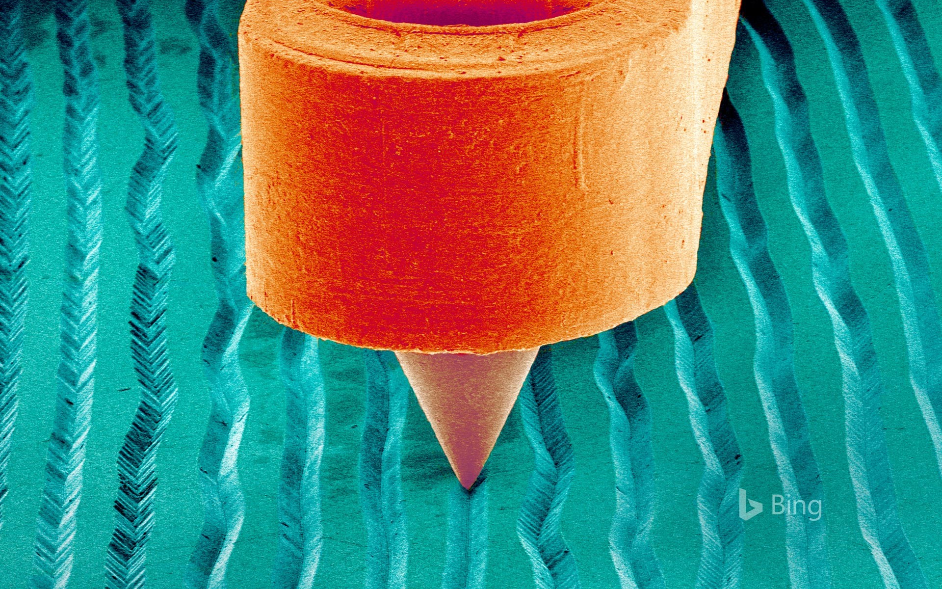 A scanning electron micrograph of a needle on a record