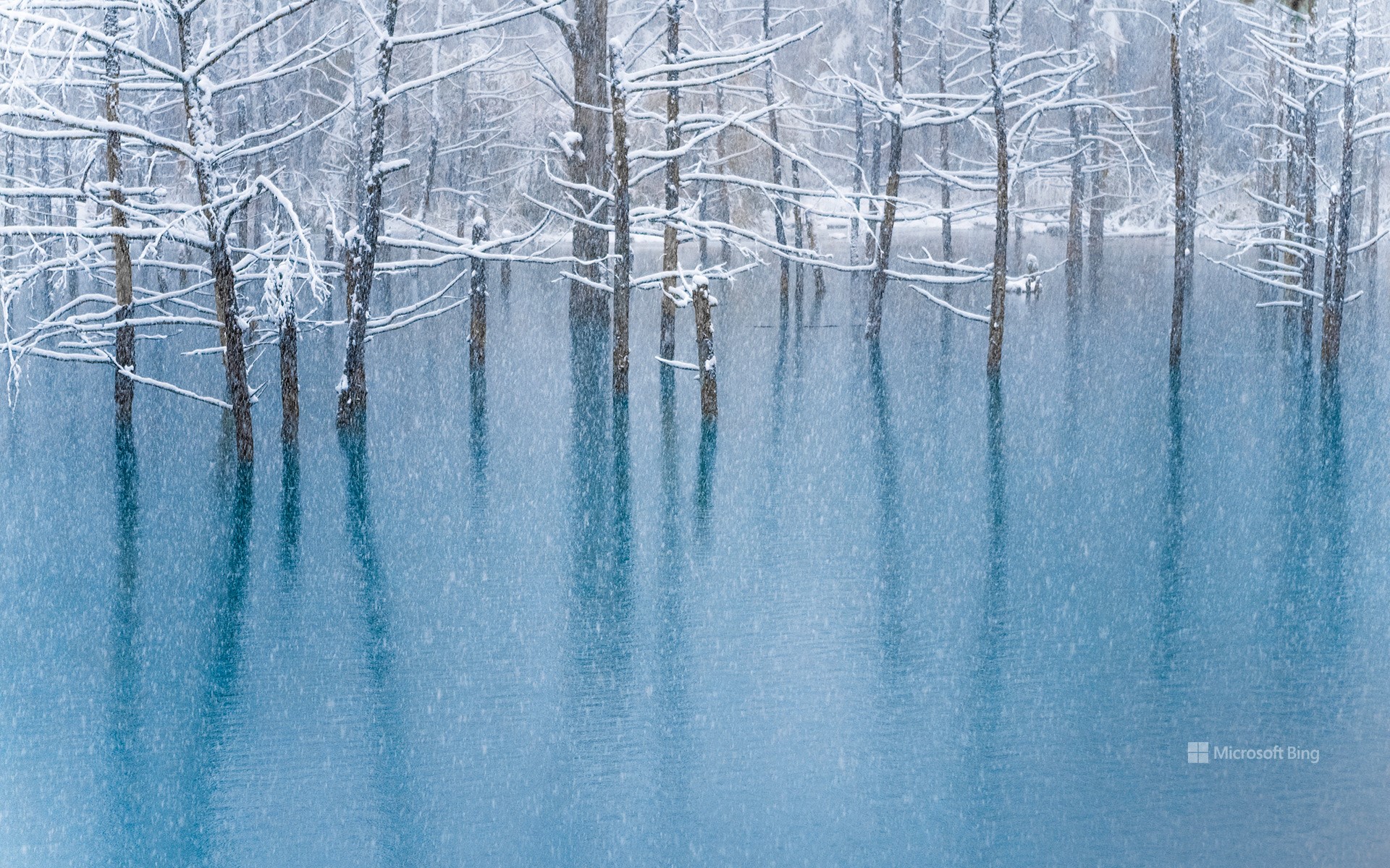 Blue Pond, Hokkaido