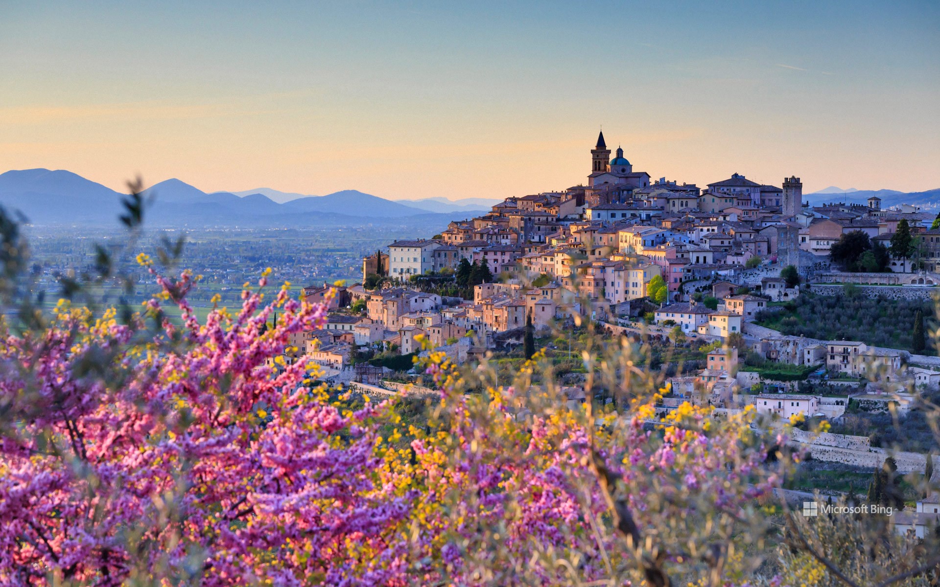 Trevi, Umbria, Italy, with almond flowers in the foreground