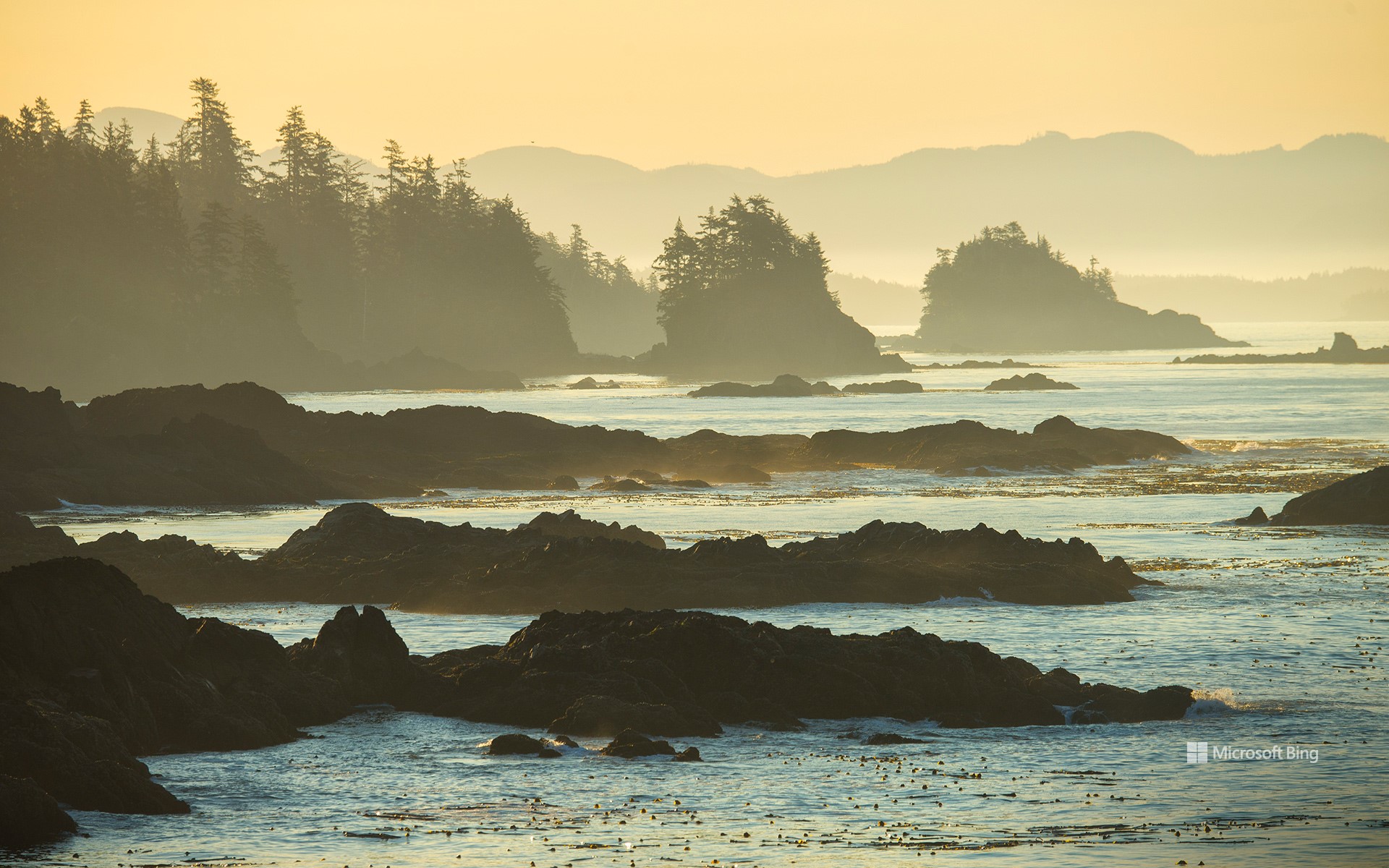 Ucluelet, Vancouver Island, British Columbia