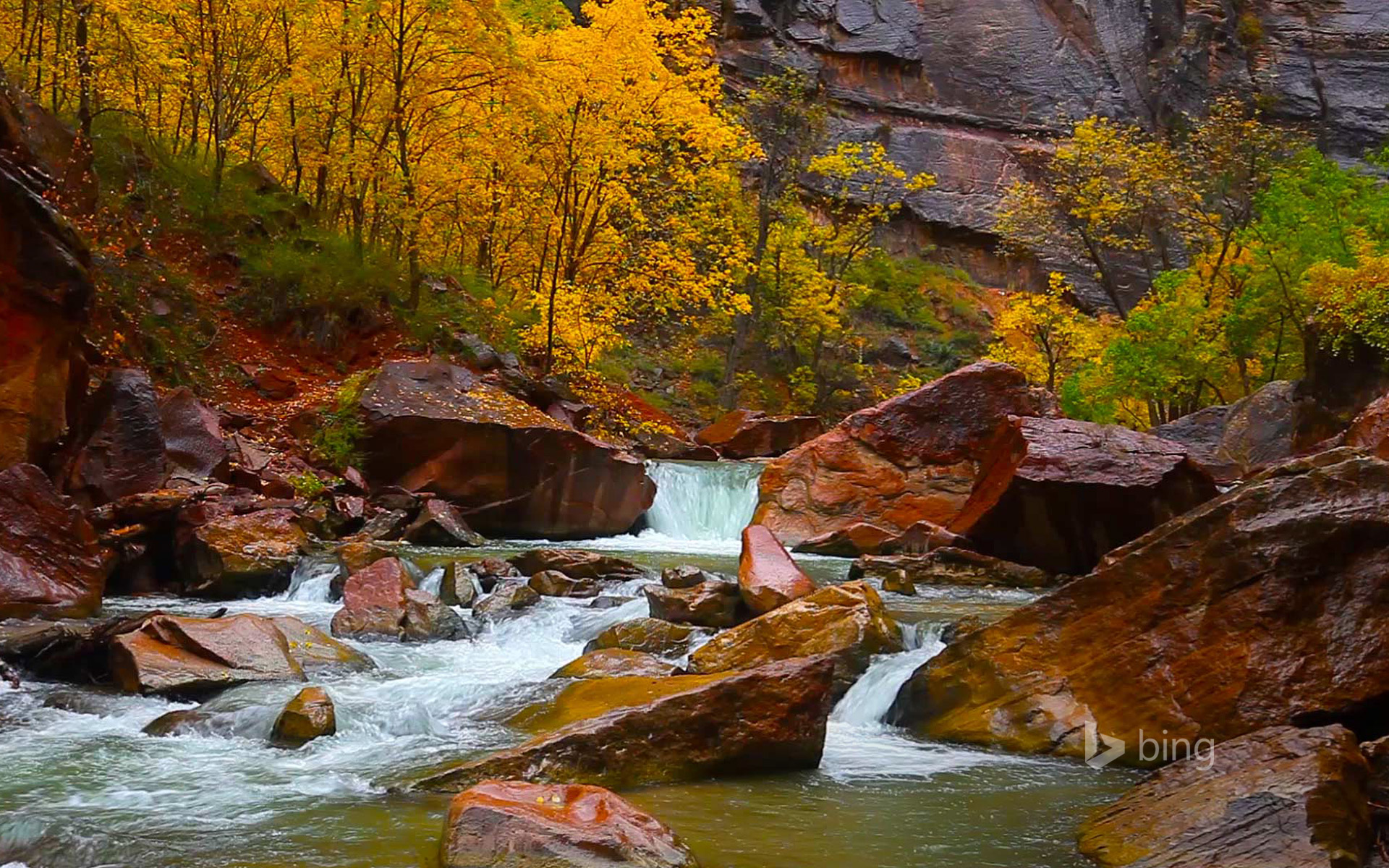 North Fork of the Virgin River, Zion Canyon, Utah